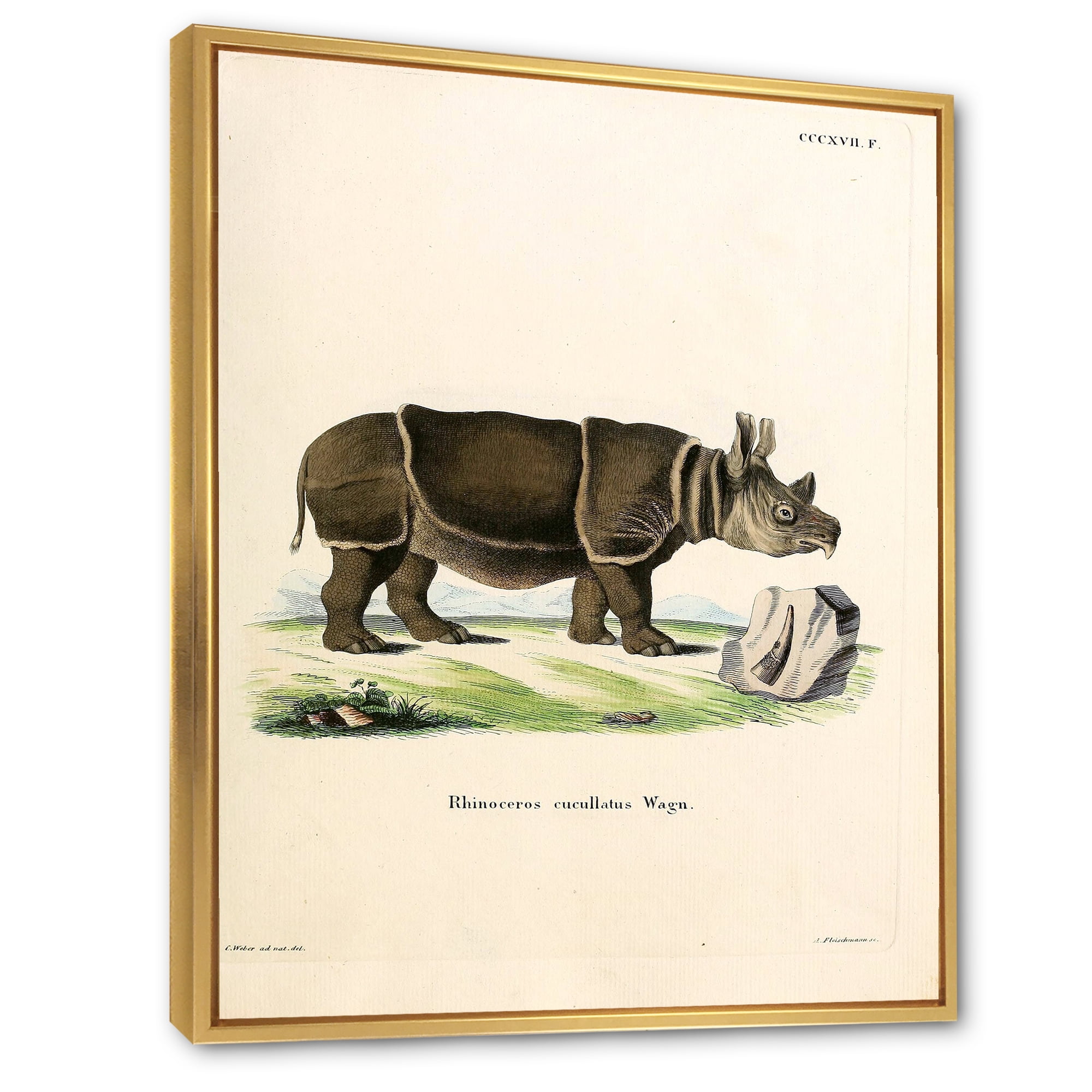 Ancient Rhinoceros 12 in x 20 in Framed Painting Canvas Art Print, by Designart