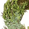 thumbnail image 5 of Northlight Small Cedar Succulent and Day Grass Artificial Spring Wreath Green -14-Inch, 5 of 8