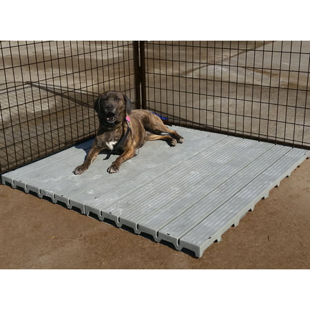 4' X 4' K9 Kennels Raised dog kennel comfortable surface (Best Flooring For Above Ground Kennels)