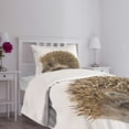 thumbnail image 3 of Ambesonne Hedgehog Quilted Bedspread Set 2 Pcs, Small Mammal, Twin Size, Cocoa Brown, 3 of 5