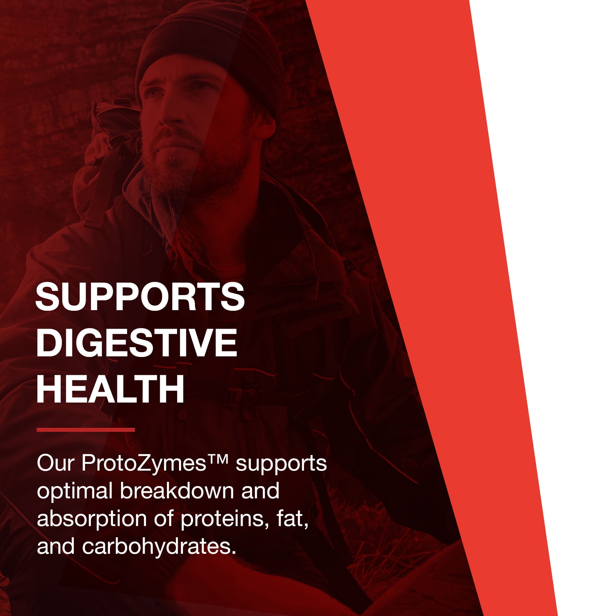 Protocol ProtoZymes - Digestive Enzymes, Broad Spectrum - Children, Adults - 90 Berry Chewables