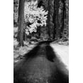 thumbnail image 2 of Eggers, Terry 11x14 Black Ornate Wood Framed with Double Matting Museum Art Print Titled - USA-Washington State-Skagit Valley-Country backroad through forest, 2 of 4