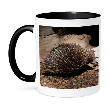 3dRose, Australia, Adelaide. Cleland Wildlife Park. Echidna., 15oz Two-Tone Black Mug