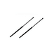 thumbnail image 1 of Amortiguador Cajuela/Tapa Trasera GM PARTS Chevy 3 Puertas 1994-2012, 1 of 2