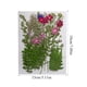 thumbnail image 2 of Advancent Artesanía de flores secas naturales Flores prensadas Ramos en relieve Decoración para tarjetas de boda Pintura de álbum de recortes Flores artificiales Typ 1 Advancent HA010760-01, 2 of 6