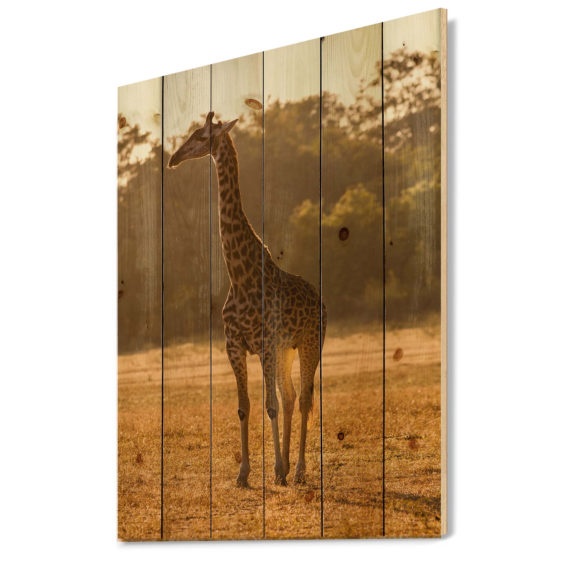 Designart 'African Giraffe In The Wildlife II' Farmhouse Print on Natural Pine Wood
