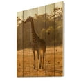 thumbnail image 2 of Designart 'African Giraffe In The Wildlife II' Farmhouse Print on Natural Pine Wood, 2 of 5