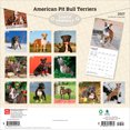 thumbnail image 2 of American Pit Bull Terriers | 2027 12x24" (Hanging) Wall Calendar | Plastic-Free, 2 of 9