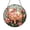 Acrylic 3.5 Inch, variant on Farm Pig Glass Window Decor, Rustic Suncatcher Hanging Art, Cozy Home Accent