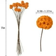thumbnail image 2 of Orange Dried Flowers Bouquet,Dried Craspedia Buttons Bouquet,Natural Billy Balls Flowers,Vase Floral Arrangements,for Home Garden Wedding Birthday Party Decor 20 Pcs 17”, 2 of 6