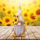 thumbnail image 1 of Juguetes para piscina, juguetes para bebés, juguetes para niños pequeños, pareja de girasoles, muñeco sin rostro de Rodolfo, gnomo, muñeco de duende adorable, decoración para el hogar, muñecos de pelu, 1 of 4