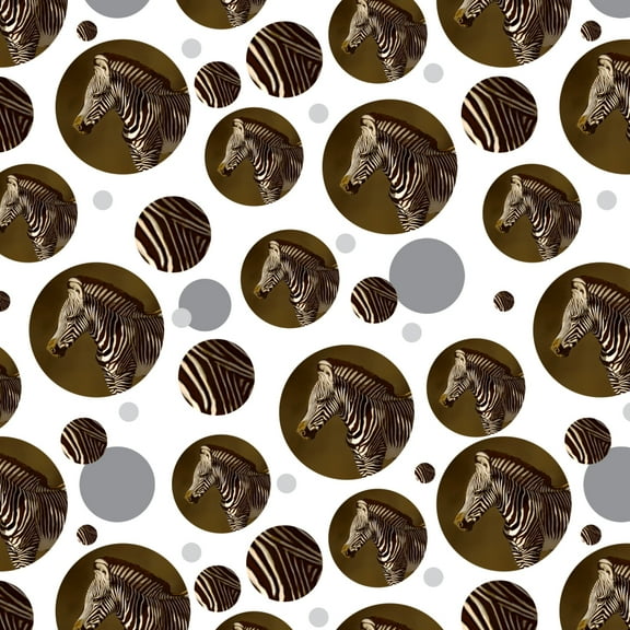Baby Zebra Young Foal Premium Gift Wrap Wrapping Paper Roll