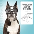 thumbnail image 4 of Gafas protectoras para mascotas resistentes al viento, con protección ocular y anti-UV. Diseño creativo para perros y cachorros (transparentes)., 4 of 7