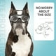 thumbnail image 4 of Gafas protectoras para mascotas resistentes al viento, con protección ocular y anti-UV. Diseño creativo para perros y cachorros (transparentes)., 4 of 7