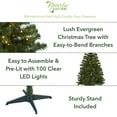 thumbnail image 2 of Nearly Natural 4' Green Northern Tip Pine Artificial Christmas Tree Prelit 100 Clear LED Lights, 2 of 7