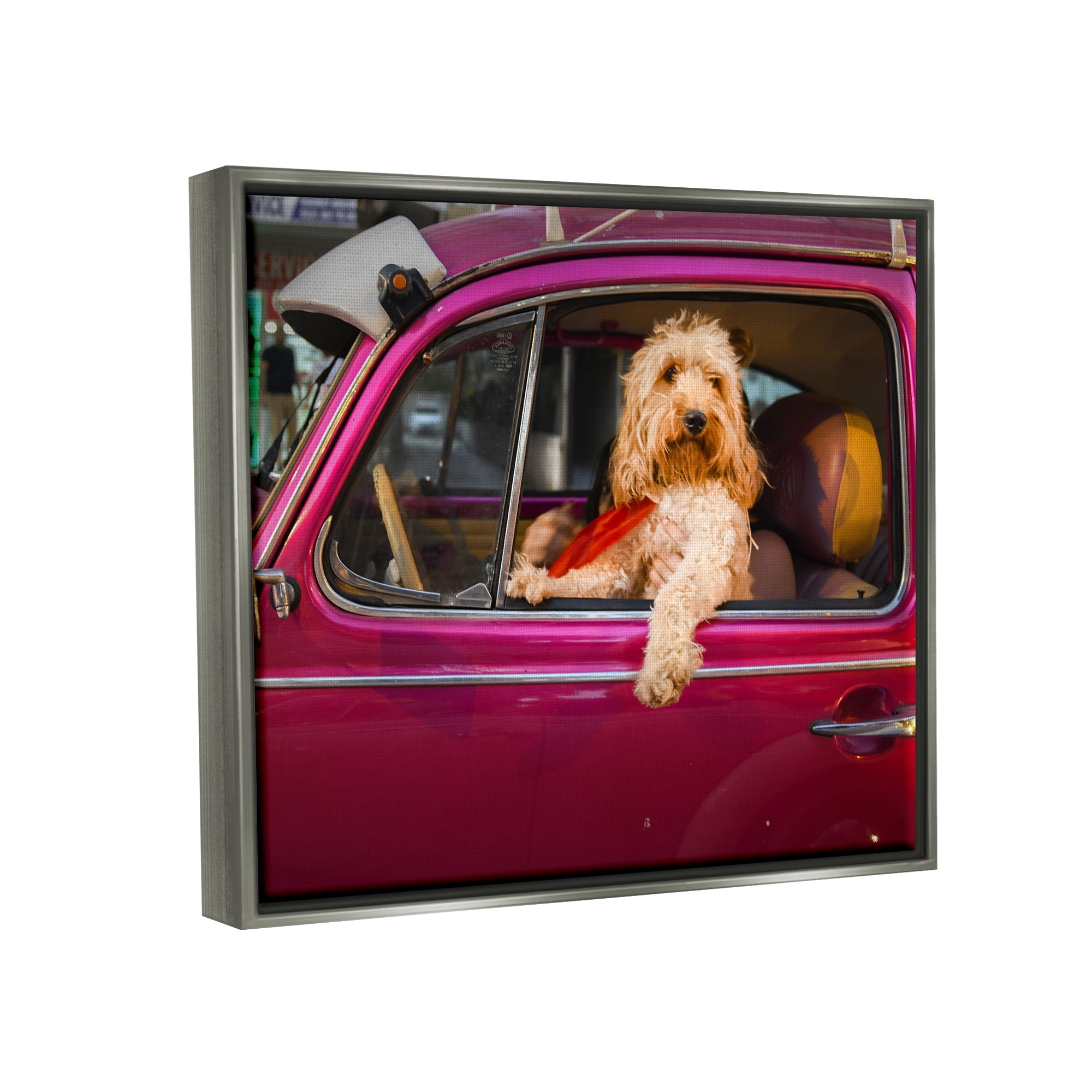 Stupell Industries Funny Chauffeur Dog Animals & Insects Photography Gray Floater Framed Canvas Art Print Wall Art, 21 x 17