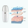 Facial Portable Mini Cool Mist Facial Steamer Moisturizing Hydrating