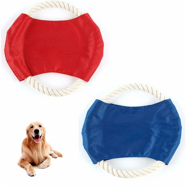 Frisbees para perros, juguete de disco para perros, juguetes de entrenamiento interactivos al aire libre, juguete para masticar para
