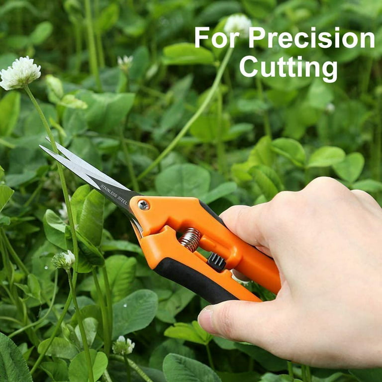 3 Packs Trimming Scissors Pruning Shears Gardening Hand Pruning Snips with  Straight Stainless Steel Precision Teflon Blades - Growneer