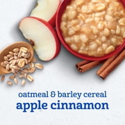 Gerber Mealtime for Toddler, Oatmeal & Barley Cereal, Apple Cinnamon, 4.5 oz
