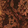 thumbnail image 1 of Ahgly Company Machine Washable Indoor Square Transitional Mahogany Brown Area Rugs, 8' Square, 1 of 7