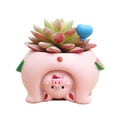 thumbnail image 4 of Succulent Planter Pot Animal Cactus Bonsai Flower Pots With Drainage Hole, 4 of 9