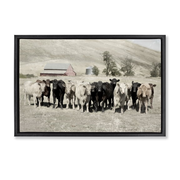 Stupell Industries Rustic Lodge Varied Cattle on Farm Black Floating Frame Canvas Art, 25 x 17, by Rhonda Addison