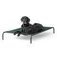 thumbnail image 1 of Cama para mascotas Coolaroo Original Elevated, extra grande, verde, 1 of 6