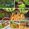 thumbnail image 2 of Cucumber Seeds - Early Spring Burpless F1 -3 g Packet ~85 Seeds - Cucumis sativus - Farm & Garden Vegetable Seeds - Non-GMO, Hybrid, Annual, 2 of 6