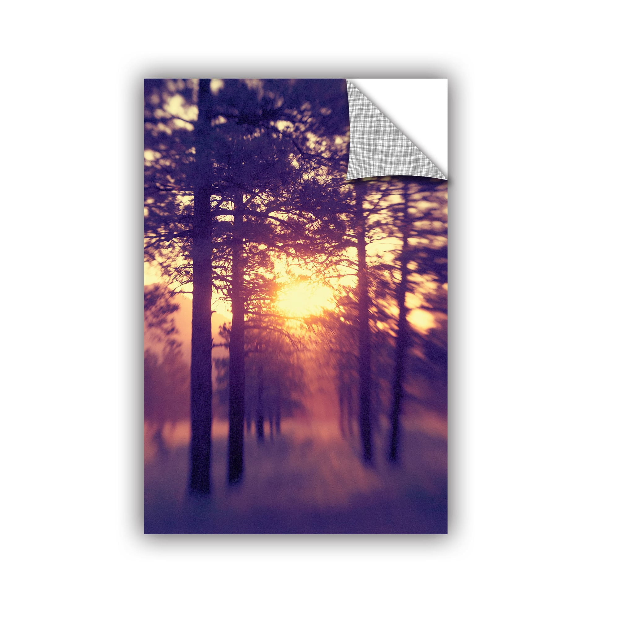 ArtWall Elena Ray "Woodland Sunset" Art Appeals Removable Wall Art