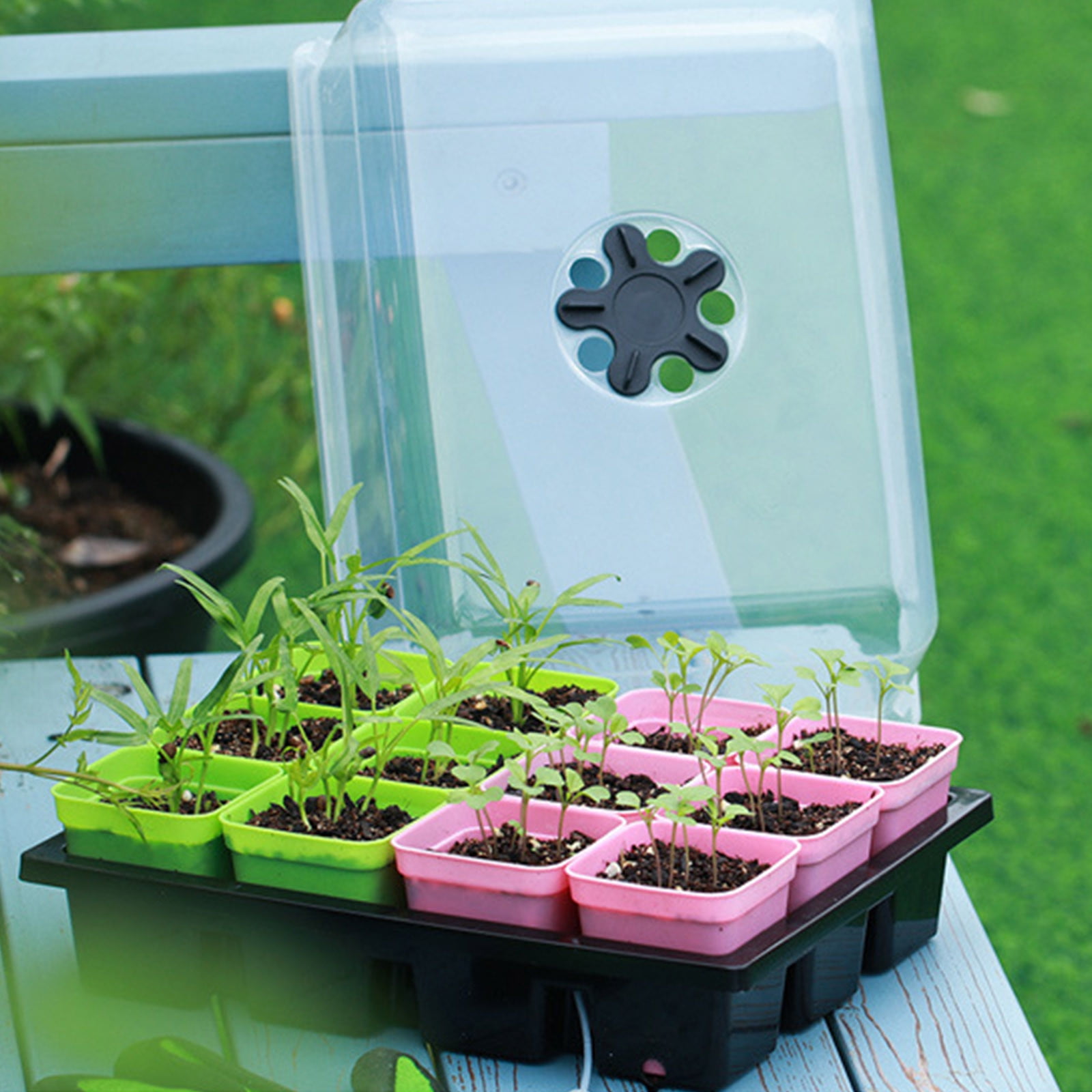 Seed Starter Tray with Lid, 12 Cells Seedling Tray Kit Reusable for Starting Vegetable, Flower & Herb Seeds Indoor Grow Kit for Deep-Rooted Seedlings