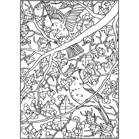 Cra-Z-Art Timeless Creations Premium Quality Adult Coloring Book, Spread Your Wings