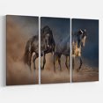 thumbnail image 1 of Designart - Course de Chevaux Noir et Blanc - Animaux photographyPrint sur Toile Ensemble Enveloppé, 1 of 1