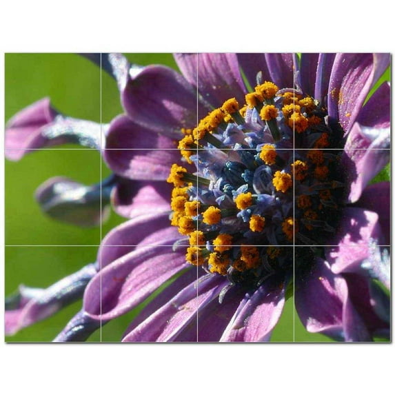 Flowers Pdphotoh Ceramic Tile Mural Kitchen Backsplash Bathroom Shower 405052-L43