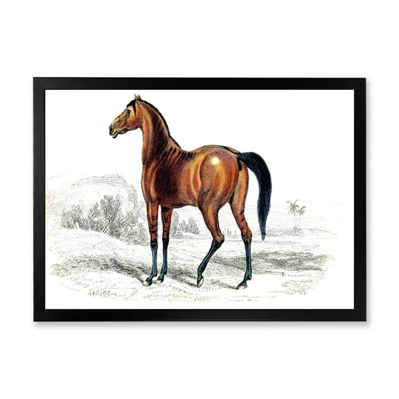 Designart 'Ancient Horse' Farmhouse Framed Art Print