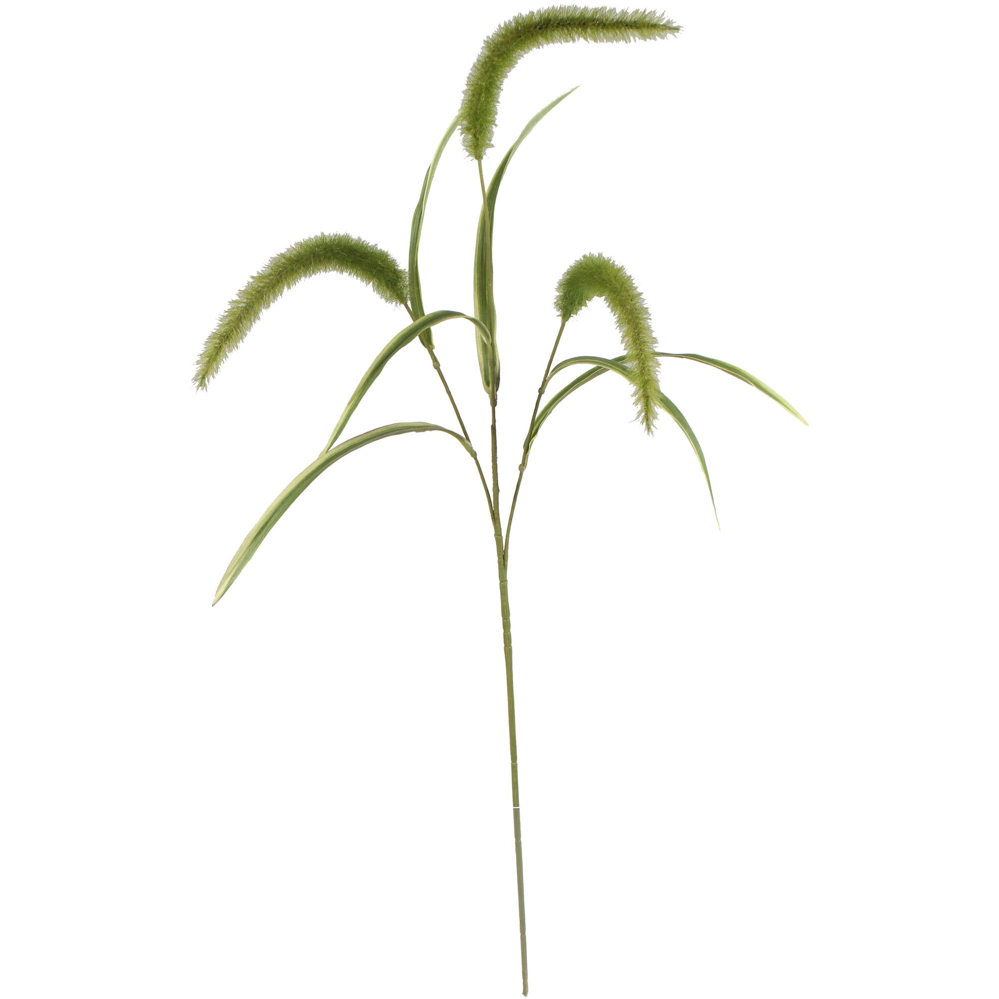 Mainstays 36' Tall Artificial Dogtail Evergreens Stem with Green Leaves