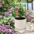 thumbnail image 2 of ZOUSSIQI Tomato Trellis,Adjustable Garden Tomato Cage - Avoids Overcrowding, Stable Plant Support for Growing Plants Climbing Plants and Vines CA919-62871, 2 of 9
