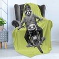 thumbnail image 4 of Whimsical Soft Flannel Fleece Blanket, Realistic Sketch Design of Funny Hipster Raccoon Rides Retro Motorcycle, Cozy Plush for Indoor and Outdoor Use, 50" x 70", Pale Green and Grey, by Ambesonne, 4 of 5