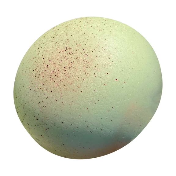 2026 New Simulated Cute Steamed Stuffed Bun Super Soft, Mystery Decompression Toys,Stress Relief for Everyone Anxiety Relief