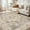 Brown, variant on Toyoso 6x9 Area Rug Living Room Rugs - Washable Boho Rug Vintage Oriental Distressed Farmhouse Large Thin Indoor Carpet for Living Room Bedroom Under Dining Table Home Office - Aqua Multi