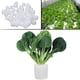 thumbnail image 4 of 200 esponjas hidropónicas de 30 mm para cultivo sin tierra, herramientas prácticas de jardinería, esponjas humectantes para plántulas, para uso doméstico (blancas), 4 of 8