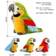 thumbnail image 2 of Juguete De Peluche De Loro Parlante Eléctrico, Lindo Registro Parlante, Repite Alas Ondulantes, Juguete De Pájaro De Peluche, Regalo De Cumpleaños Para Niños Serendint FN003335-03, 2 of 5