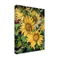 thumbnail image 2 of Trademark Fine Art 'Sunflowers' Canvas Art by Joanne Porter, 2 of 3