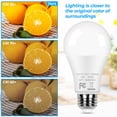 thumbnail image 4 of Bombillas LED GoBright A19, 13 W, 5000 K, luz blanca diurna, paquete de 12, 4 of 8