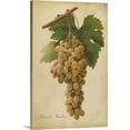 thumbnail image 1 of Great BIG Canvas | "Vintage Vines II" Canvas Wall Art - 20x30, 1 of 2