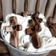 thumbnail image 2 of 6X Cruces Corazón Regalo de Aliento Dedo de Madera Alivio del Estrés Regalos Cruces de Bolsillo Regalo Cruces de Madera de Mano, 2 of 4