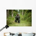 thumbnail image 1 of Gorille Wall Mural by Wallmonkeys Peel and Stick Graphic (48 in W x 32 in H) WM43202, 1 of 4
