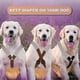 thumbnail image 2 of 2 Pieces Dog Diaper Suspenders Belly Bands Canine Harness Keep Diaper On Your Dog For Small Medium And Large Dogs (black, Brown, Small) Small, 2 of 5