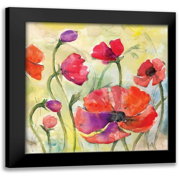 Ferry, Margaret 12x12 Black Modern Framed Museum Art Print Titled - Poppy Study II