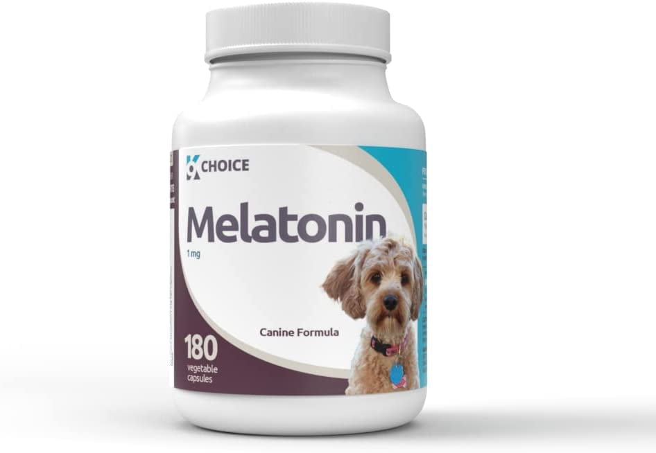 dog travel bowl with lid